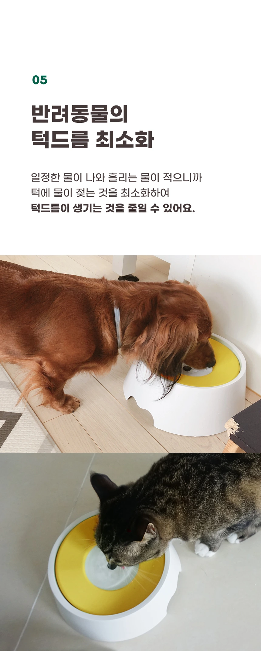 강아지와 고양이가 요기물그릇2 중앙에서 물을 마시는 원본 사진
