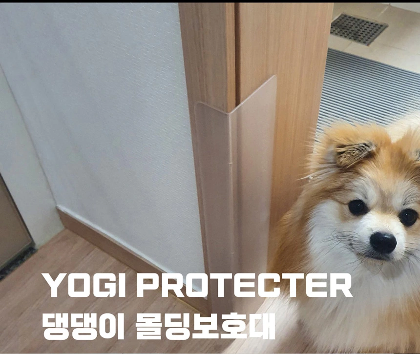 문틀 몰딩에 보호대를 부착한 모습과 작은 강아지