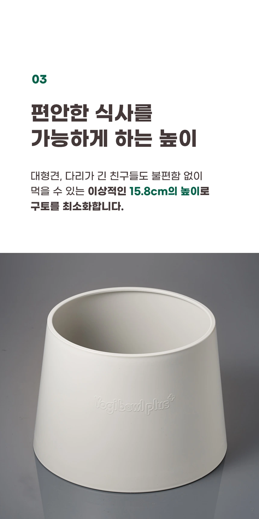 스탠드 밥그릇 높이와 반려견 급식 모습
